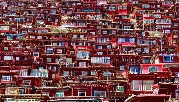 Serta | A Journey to a Tibetan Buddhist Pure Land - Photo 14