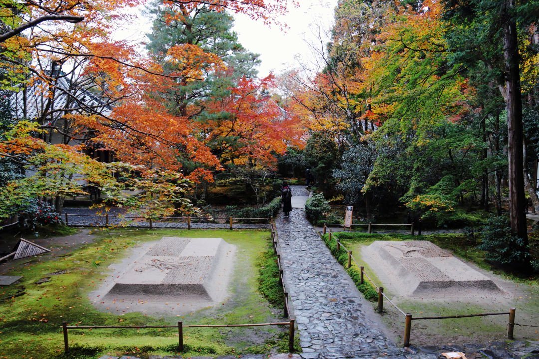Kyoto Autumn Leaves | How Breathtakingly Beautiful Is the Maple Season? - Photo 16