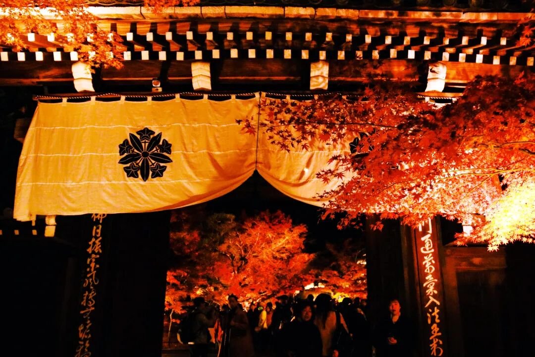 Kyoto Autumn Leaves | How Breathtakingly Beautiful Is the Maple Season? - Photo 18