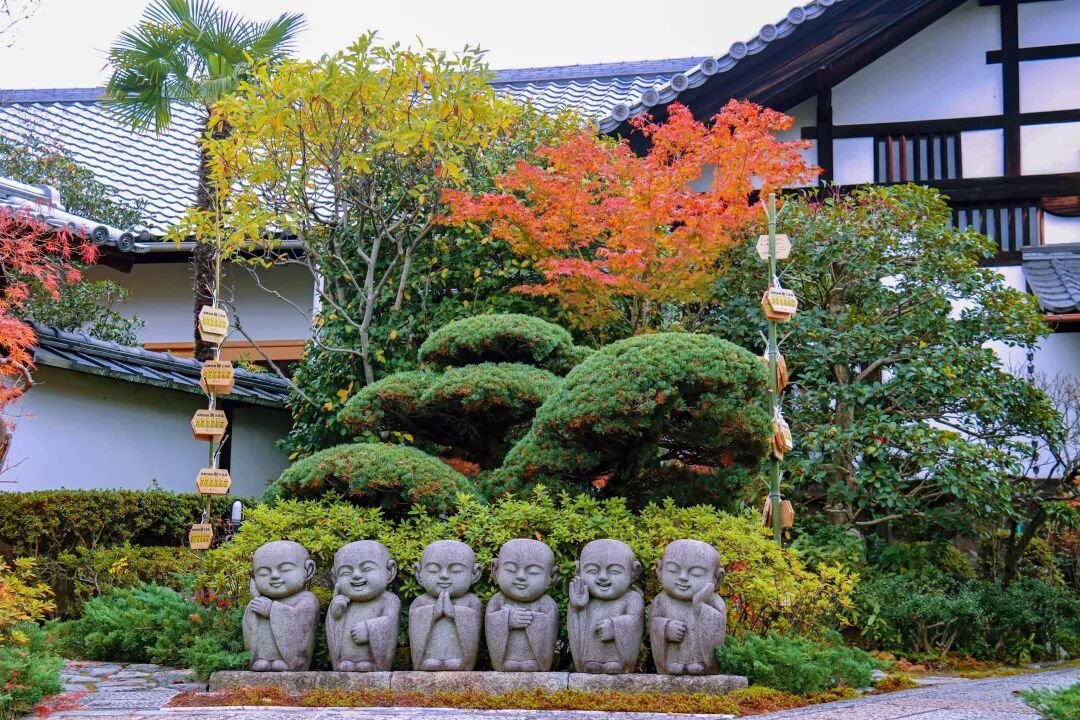 Kyoto Autumn Leaves | How Breathtakingly Beautiful Is the Maple Season? - Photo 30