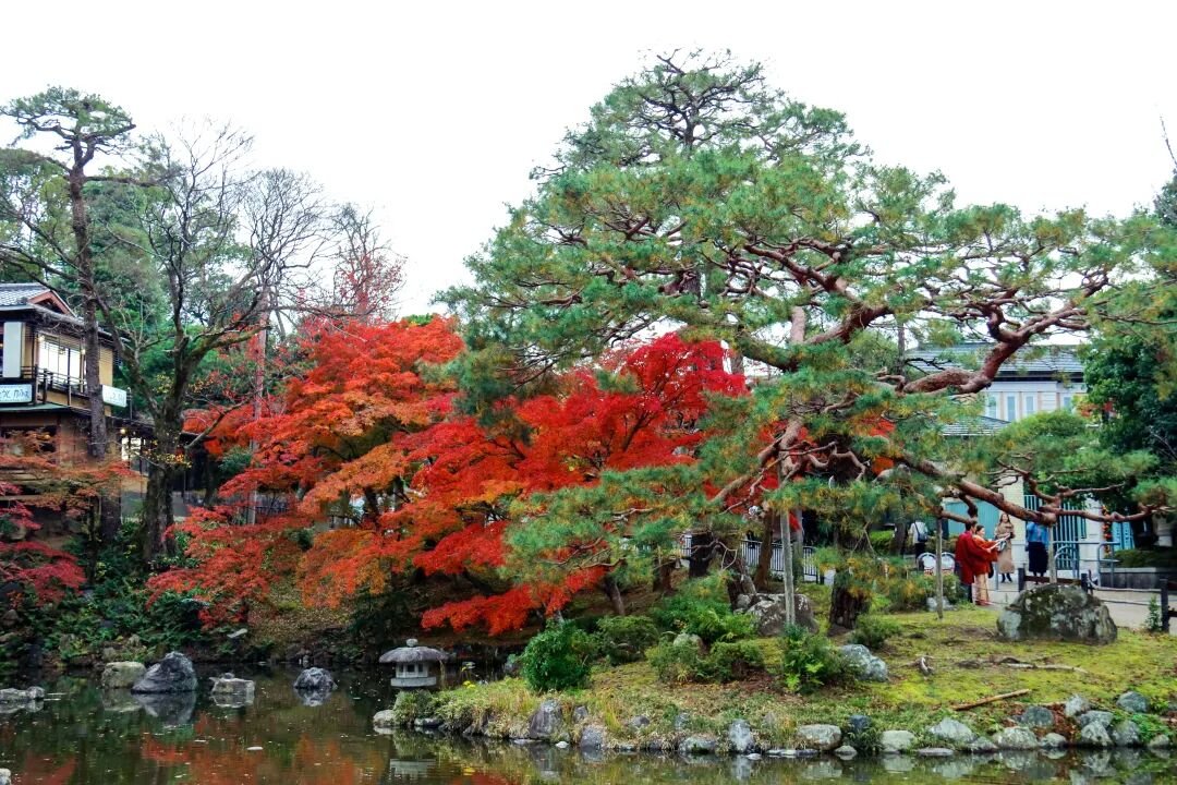 Kyoto Autumn Leaves | How Breathtakingly Beautiful Is the Maple Season? - Photo 32