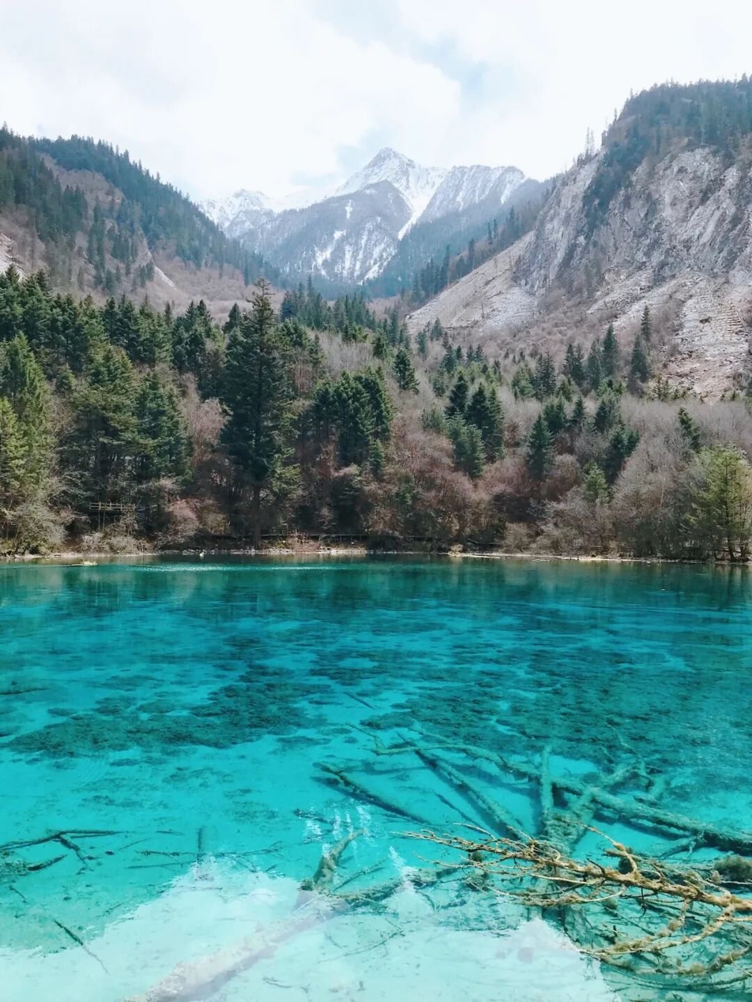 Jiuzhaigou | This Spring, Wander Into the Fairy Tale World - Photo 10