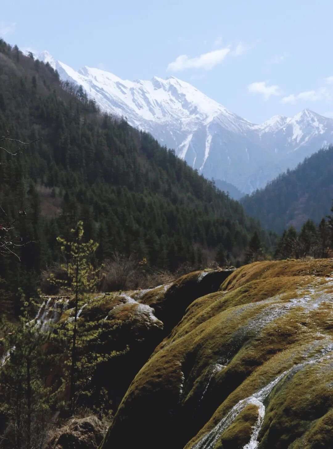 Jiuzhaigou | This Spring, Wander Into the Fairy Tale World - Photo 12