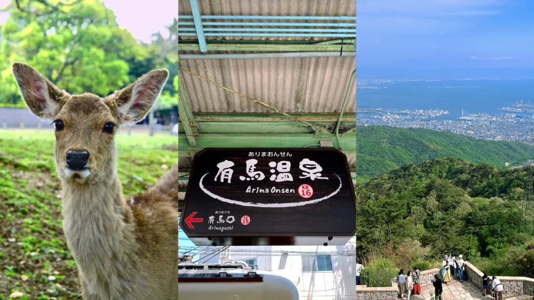 Japan Kansai Travel Guide | 5 Days in Nara and Kobe - Photo 3