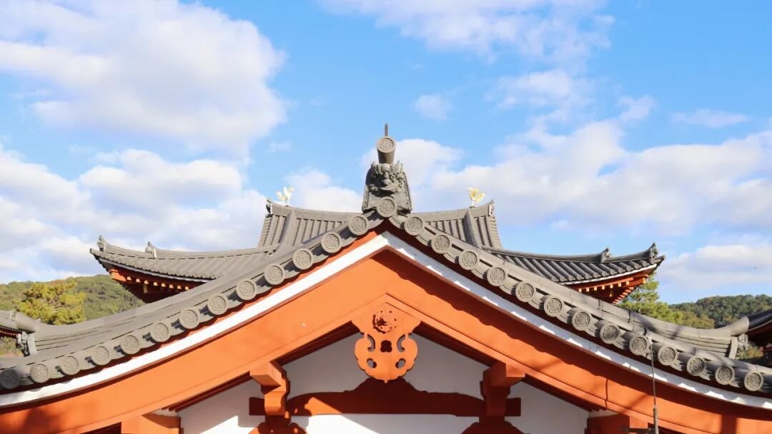Uji | You Only Know Real Matcha After Visiting Here