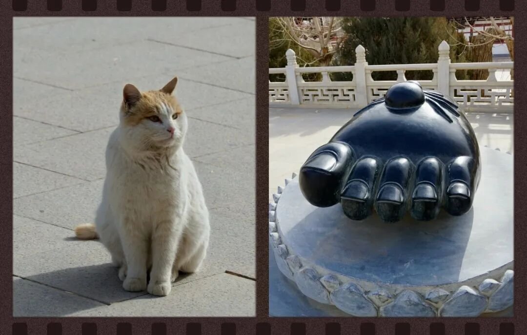 Dunhuang, Dunhuang | A Complete Guide to the Mogao Caves and Beyond - Photo 3