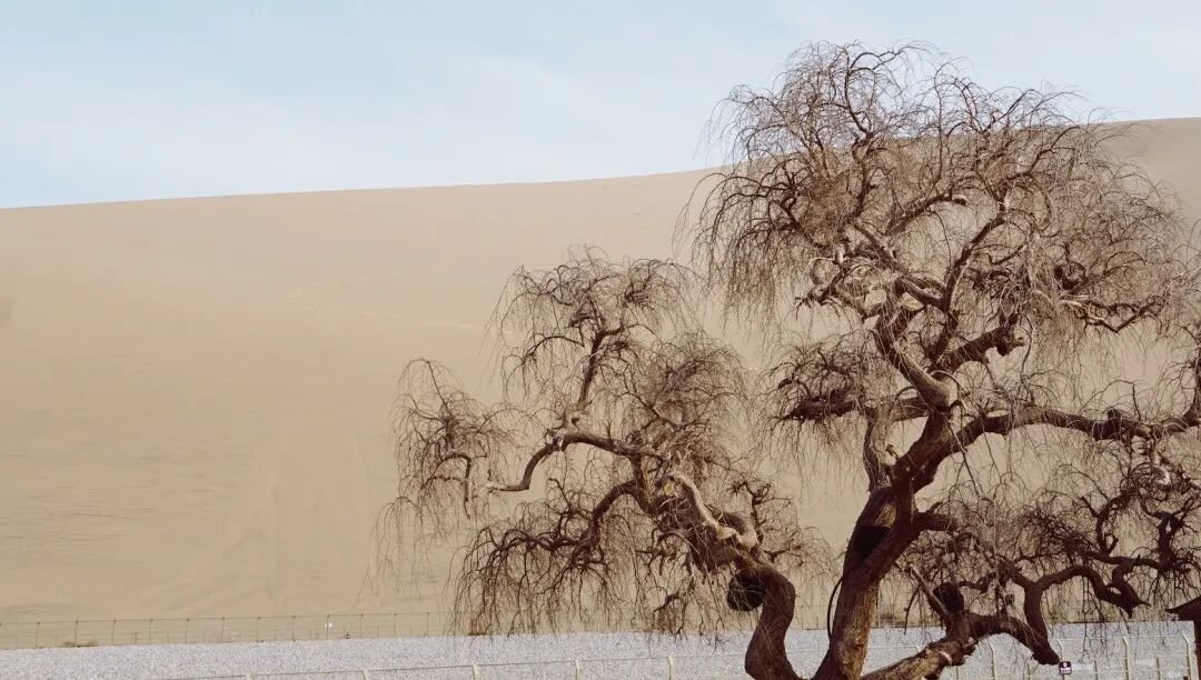 Dunhuang, Dunhuang | A Complete Guide to the Mogao Caves and Beyond - Photo 5