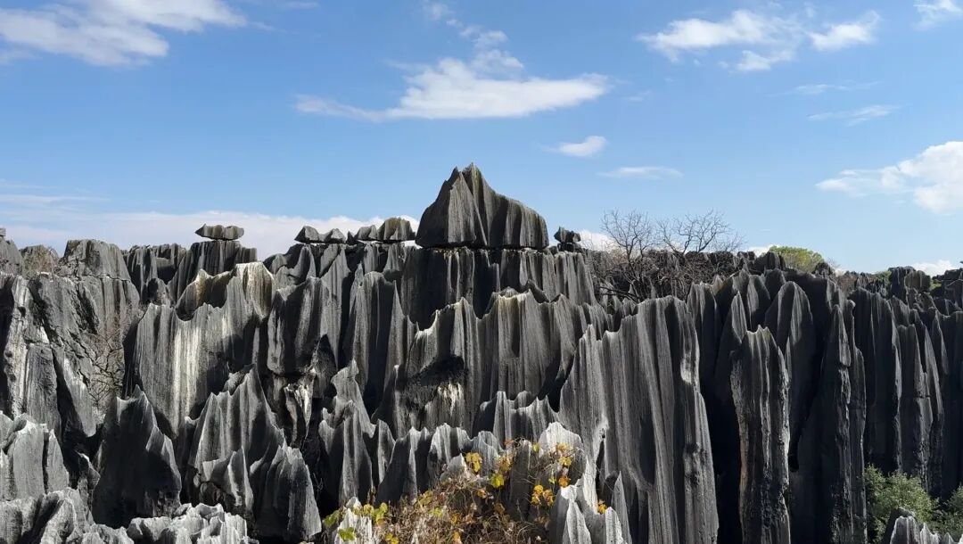 Stone Forest | Called  - Photo 3