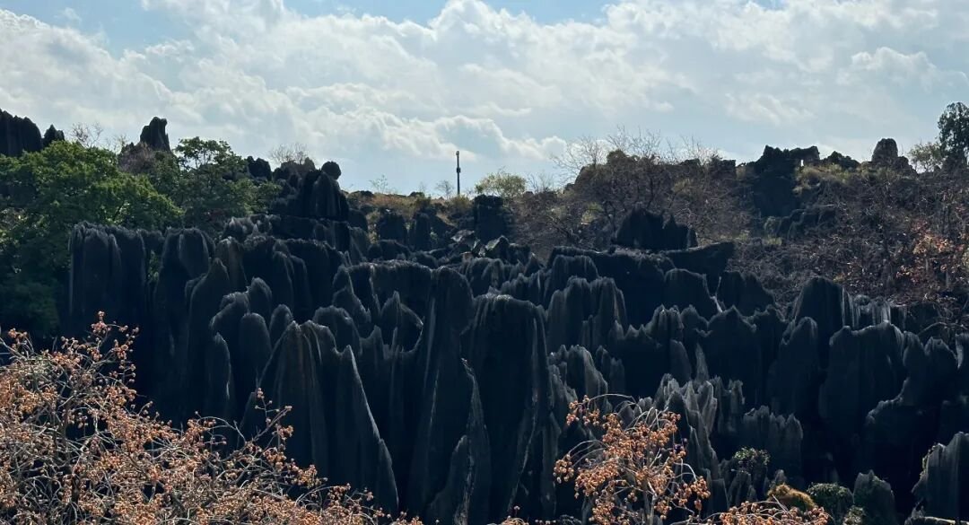 Stone Forest | Called  - Photo 5
