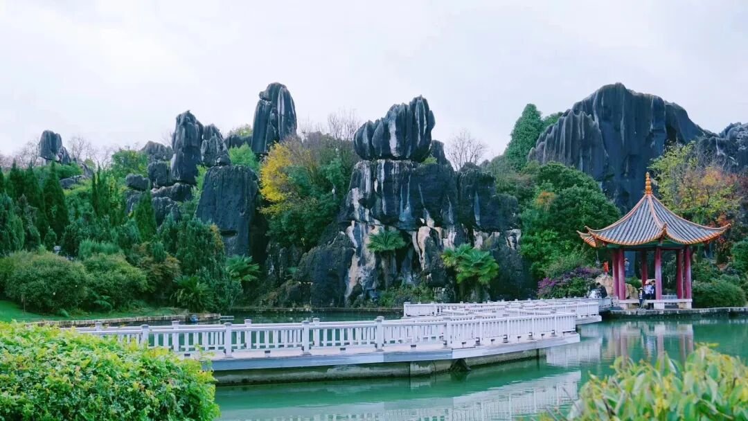 Stone Forest | Called  - Photo 8